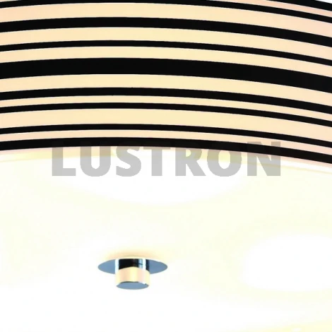 Потолочный светильник ST Luce Hegia SL484.542.06