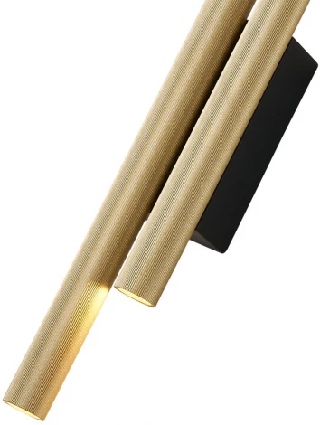 Настенный светильник светодиодный Kink Light Элени 08463-382,33-19 (220V, круглые)