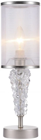 Интерьерная настольная лампа Freya Vilena FR2687TL-01G