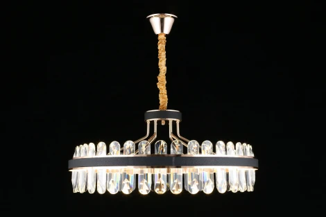 Подвесная люстра Aployt Honori APL.027.03.102 (LED, 220V, на цепи, кольцо)