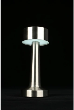 Настольная лампа светодиодная с выключателем Aployt Perrayn APL.671.14.01 (220V, круглые)