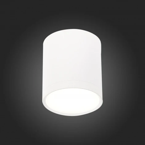 Накладной точечный светильник ST Luce Rene ST113.542.05 (LED, 220V, круглые)
