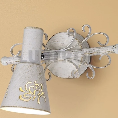 Спот Citilux Дункан CL529512