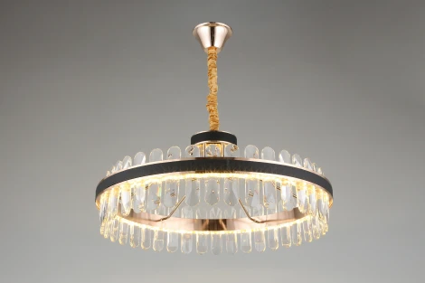 Подвесная люстра Aployt Honori APL.027.03.102 (LED, 220V, на цепи, кольцо)