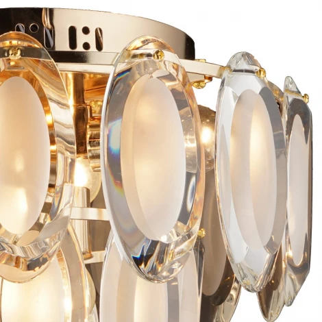 Потолочная люстра Wedo Light Erika 70647.01.01.06