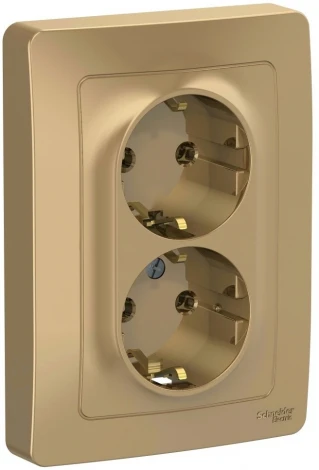 Розетка встраиваемая двойная с заземлением (титан) Systeme Electric Blanca BLNRS001024