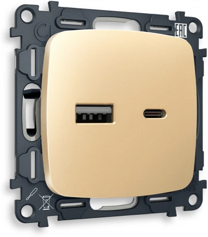 Комплект механизма Ambrella Volt розетки OMEGA MO611010 Шампань 2USB A+C 20W быстрая зарядка QUANT