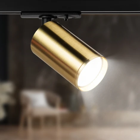 Трековый светильник ЭРА TR39-GU10 BS (220V, круглые)