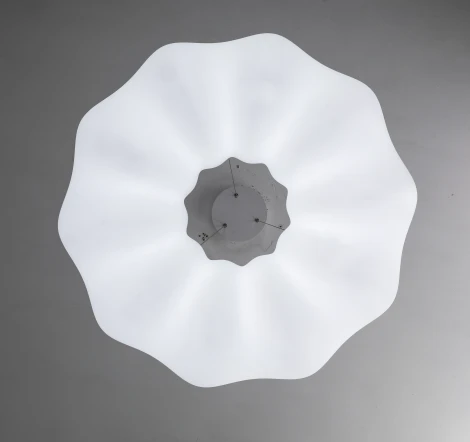 Подвесной светильник с пультом Zortes Soft ZRS.1119.02 (LED, 220V, на тросе, цветы)