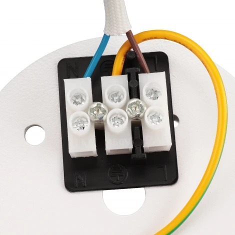 Накладной светильник Ritter Arton 59976 0