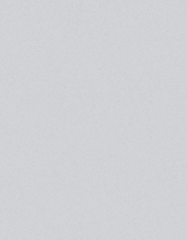 Обои виниловые Marburg New Spirit 32731 10,05 x 0,53 м