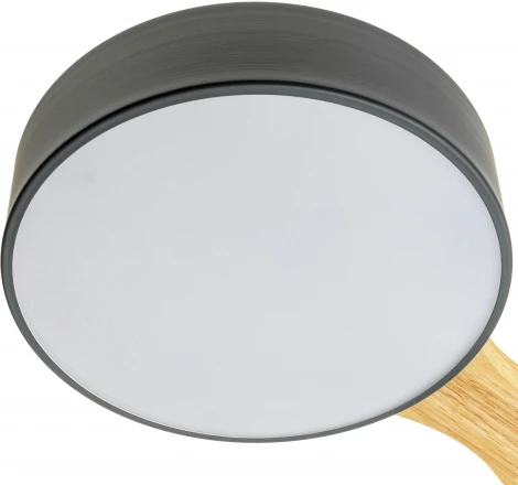 Потолочный светодиодный светильник Ritter Scandia 52071 9