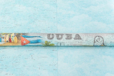 Обои виниловые Артекс Nature Inspiration 10229-01 10,05 x 1,06 м