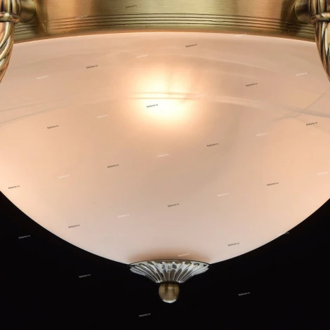 Подвесная люстра MW-Light Ариадна 450016408