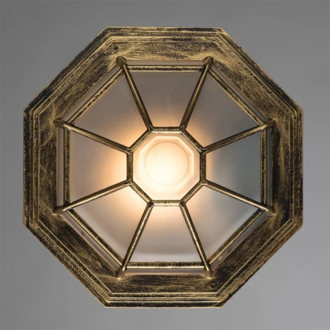 Потолочный светильник уличный Arte Lamp Pegasus A3121PF-1BN (220V, IP44)
