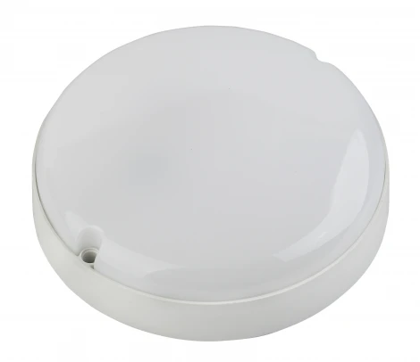 Настенно-потолочный светильник Эра SPB-201-0-65К-008 (LED, 220V, круглые, IP65)