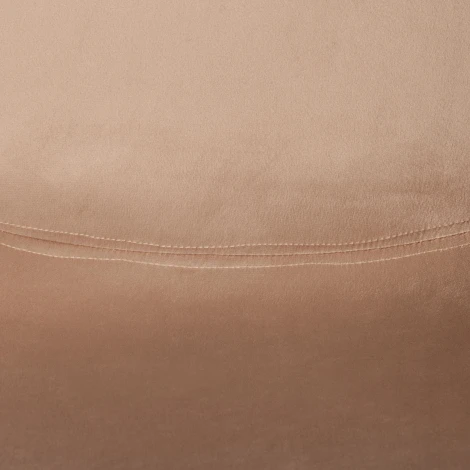 Стул CINDY SOFT (mod. C1021F1-1) / 1 шт. в упаковке (Велюр,Дерево бук /Коричневый)