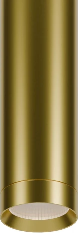 Трековый светильник ST Luce Skyline 220 ST659.293.10 SMART Золотистый LED 1*10W 2700K-6000K 220V (круглые)