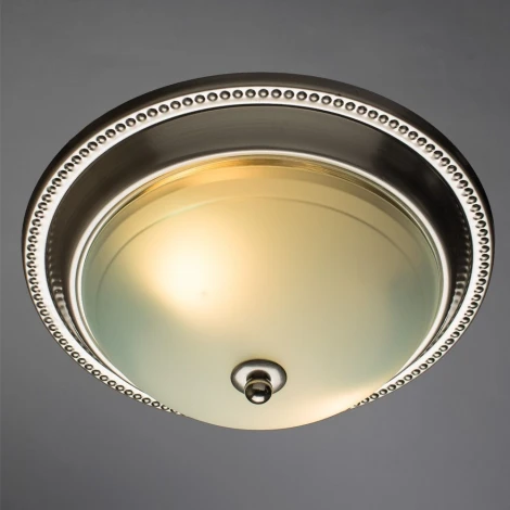Потолочный светильник Arte Lamp Alta A3011PL-2SS