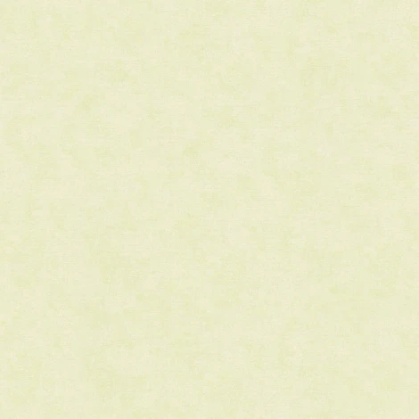 Обои виниловые Marburg Shades 32423 10,05 x 0,53 м