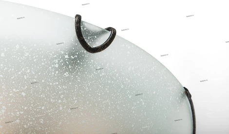 Потолочный светильник IDLamp Rozebel 250/30PF-Brown