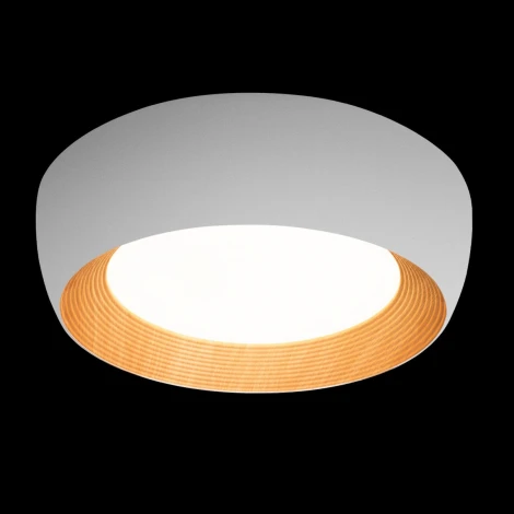 Потолочный светильник круглый Loft It Folk 10255/500 White (LED, 220V, круглые)