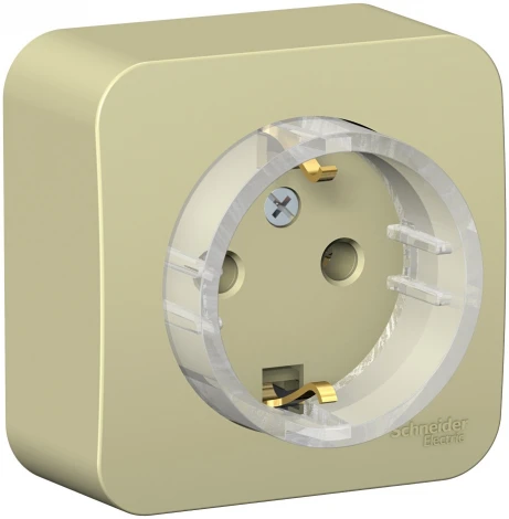 Розетка накладная с заземлением (бежевый) Systeme Electric Blanca BLNRA110117