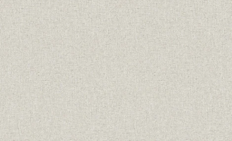 Обои виниловые Erismann Bolero 60192-03 10,05 x 1,06 м