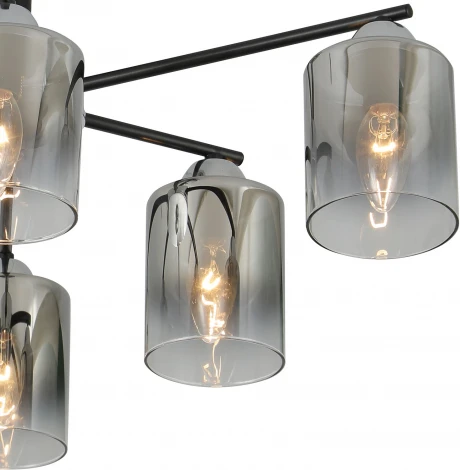 Потолочная люстра на штанге Reluce 07274-0.3-06