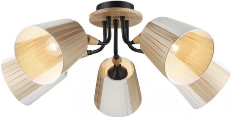 Потолочная люстра Wedo Light Vilmos WD3583/5C-BK-BG