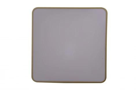 Потолочный светильник Zortes Gabby ZRS.1215.04 (LED, 220V)