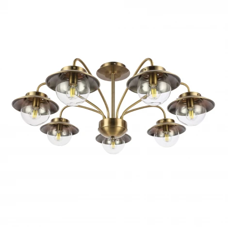 Потолочная люстра на штанге Evoluce Garonni SLE110102-07 (220V, шарики)