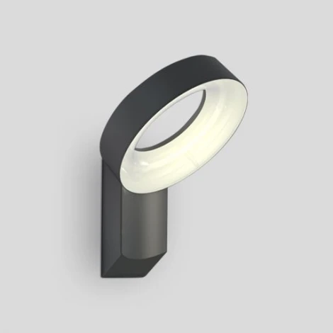 Настенный светильник уличный Oasis Light W6163S