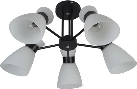 Потолочная люстра на штанге Reluce 01416-0.3-05 BK+CR