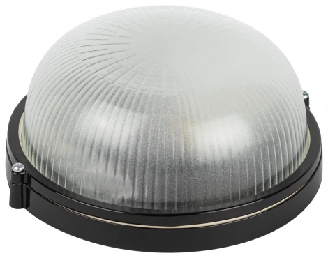 Настенно-потолочный светильник ЭРА НБП 03-60-001 в инд. упаковке НБП 03-60-001 черный