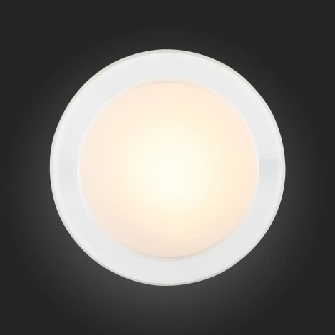 Настенно-потолочный светильник ST Luce Botone SL466.502.01