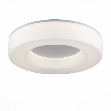Потолочный светильник ST Luce Lordin SL886.502.01