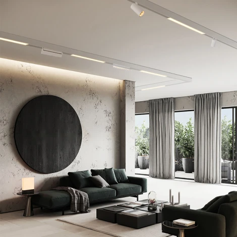 Трековый светодиодный светильник Feron MGN302 41941 низковольтный 24W 48V