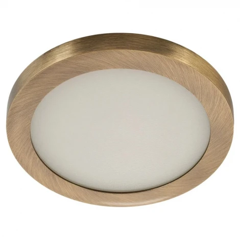 Встраиваемый точечный светильник под гипсокартон светодиодный AM Group AM292 AM292 6W AB 4000K R (220V, круглые)