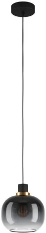 Подвесной светильник Eglo OILELLA 99616