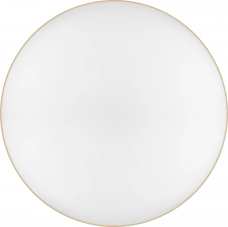 Потолочный светильник круглый светодиодный с пультом и регулировкой цветовой температуры ЭРА Relict 48 Pult SPB-6-60-RC MG (220V, круглые)