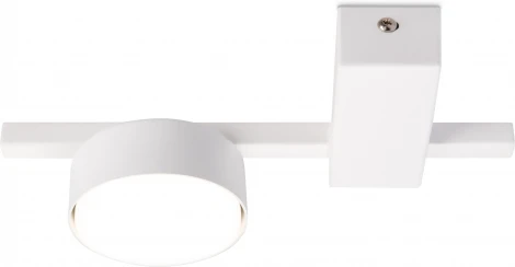 Потолочная люстра Freya Tactic FR5363CL-01W (220V, круглые)