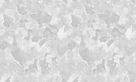 Обои виниловые Erismann Millennium 60027-12 10,05 x 1,06 м