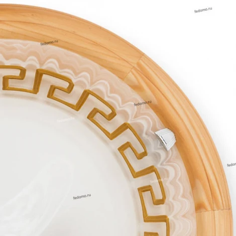 Настенно-потолочный светильник Toplight Gien TL9173Y-02PN