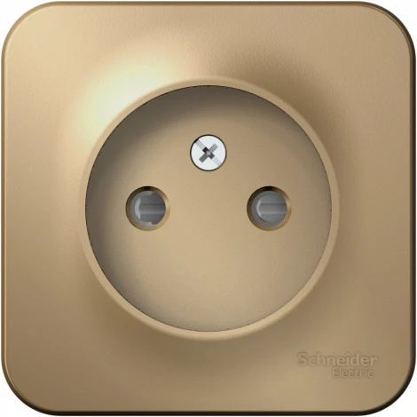 Розетка накладная без заземления со шторками (титан) Systeme Electric Blanca BLNRA001114