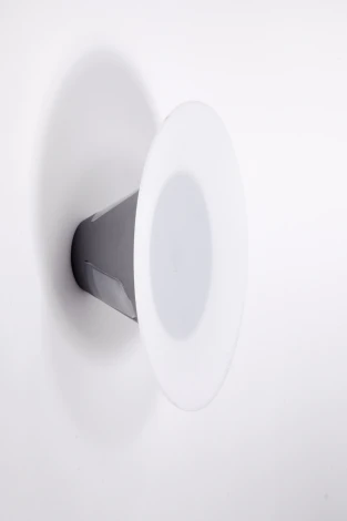 Настенный светильник уличный Oasis Light W1875 S