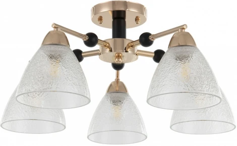 Потолочная люстра на штанге Arte Milano Napoli 324119/5 FG+BK (220V)