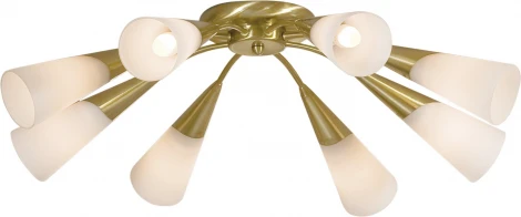 Потолочная люстра Citilux Fokus CL103182