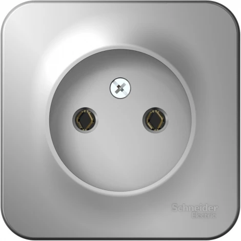 Розетка накладная без заземления (алюминий) Systeme Electric Blanca BLNRA000103