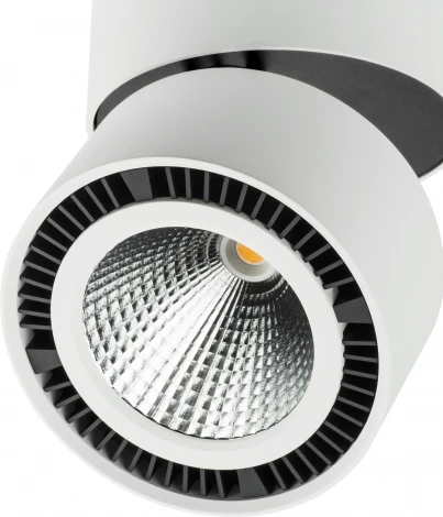 Встраиваемый точечный светильник Lightstar Forte Muro 213830 (LED, 220V)